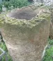 morepic-3